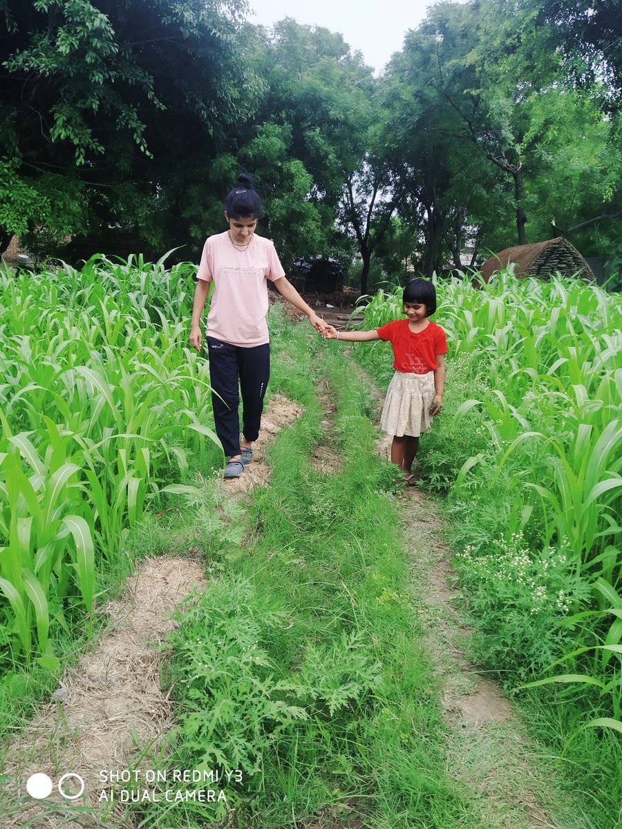 poornima2001's tweet photo. जीवन में एक दर्शन फ़सल और किसान भी सिखाता है। तपना पड़ता है तब कहीं कुंदन बन पाता है।
.
.
.
#today #todaylife #FridayMotivation #FridayFeeling #FridayVibes https://t.co/vun6vdRivq