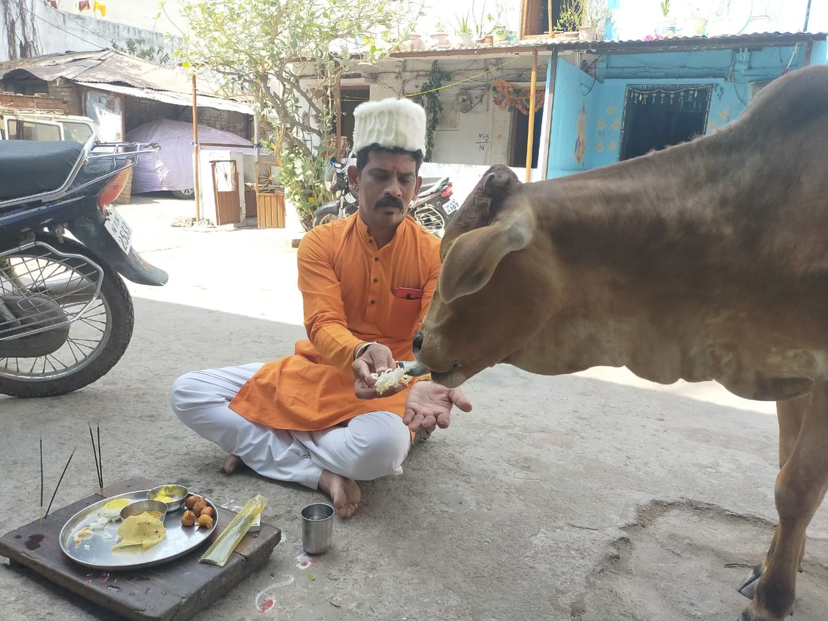Ajaygavade5's tweet photo. #SelfieWithCow https://t.co/uSomgwio89