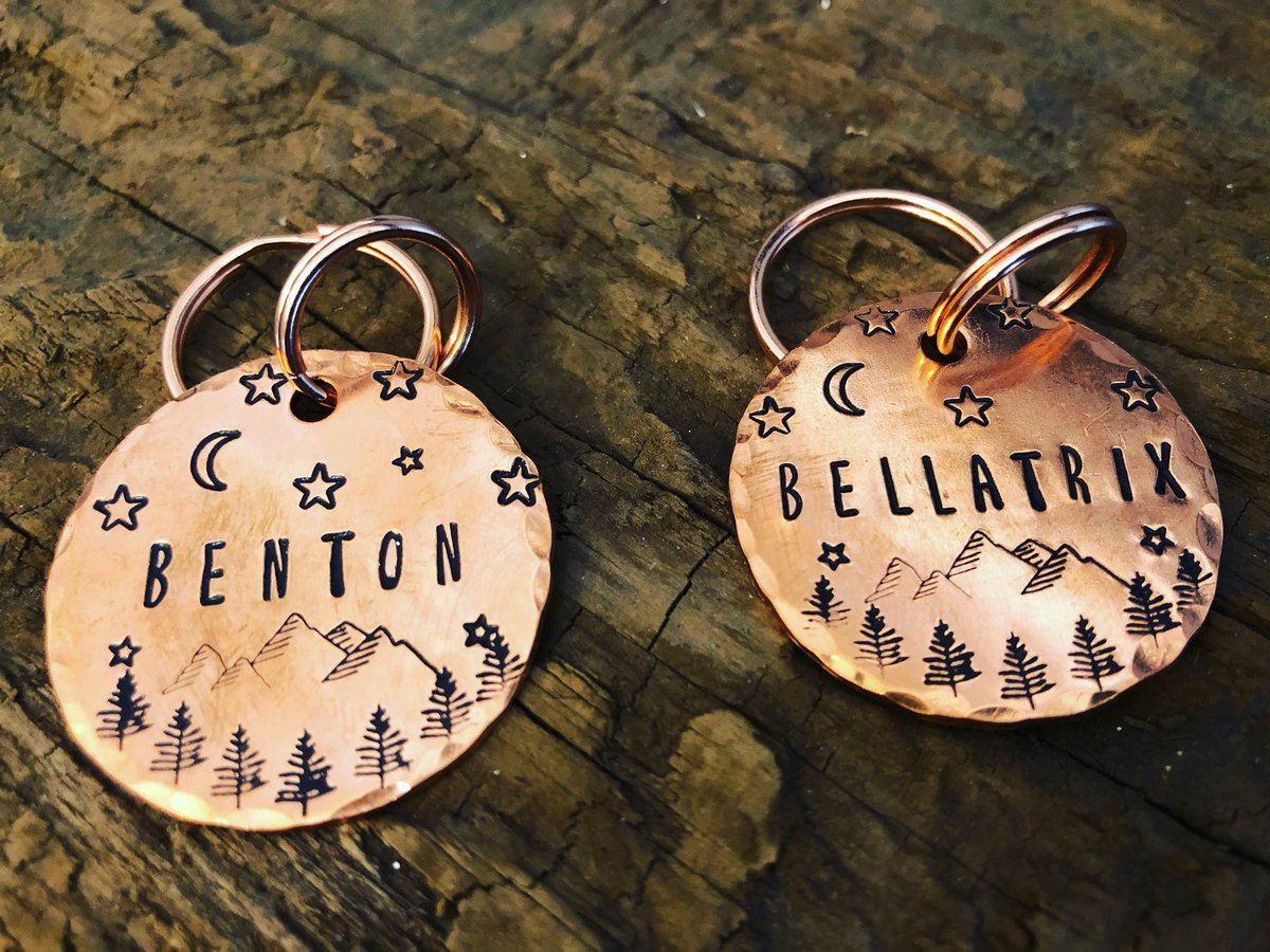 beardandbounce's tweet photo. Beautiful new copper ID tags for Benton and Bellatrix. Bought from @etsy @etsyuk and made by @castorandnoble Adventure tags for the mountain dogs! 🐾⛰

#schnauzer #schnauzergang #workingcocker #puppylife #puppylove #puppygram #dog #dogoftheday #lakedistrict #cumbrialife #dogwalk https://t.co/TYkILH045B