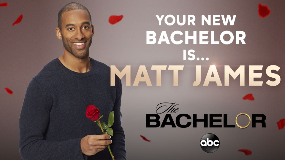 Bachelor in Paradise tweet media