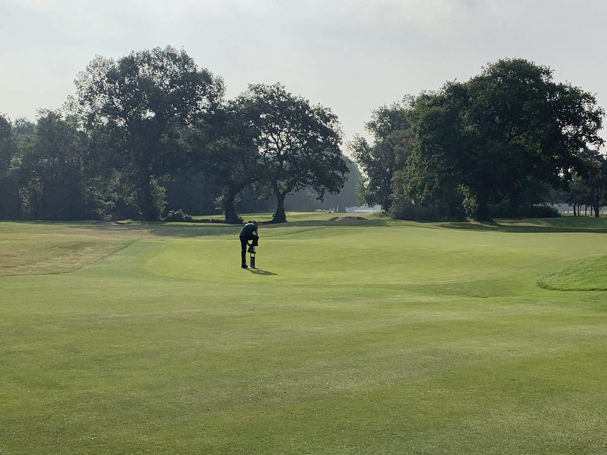 ryan_bezzant's tweet photo. Stunning morning to have a course walk @FulwellGC guys doing a great job prepping for the weekends golf. #newflags https://t.co/vwunv381u4