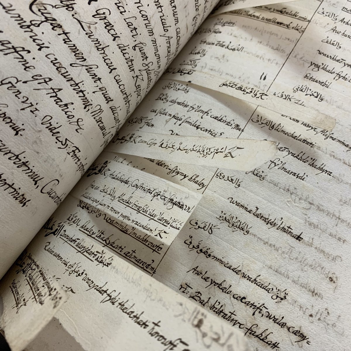theULSpecColl's tweet photo. Another of our lovely researchers (@samuscript) has blogged for us about her #research into the work of the C17 #Arabist William Bedwell &amp; his donations to @theUL. A fascinating view of how scholarship worked nearly four centuries ago. https://t.co/8UEUW3ELDo [pictured MS Hh.5.7] https://t.co/RiHjXdLtDI