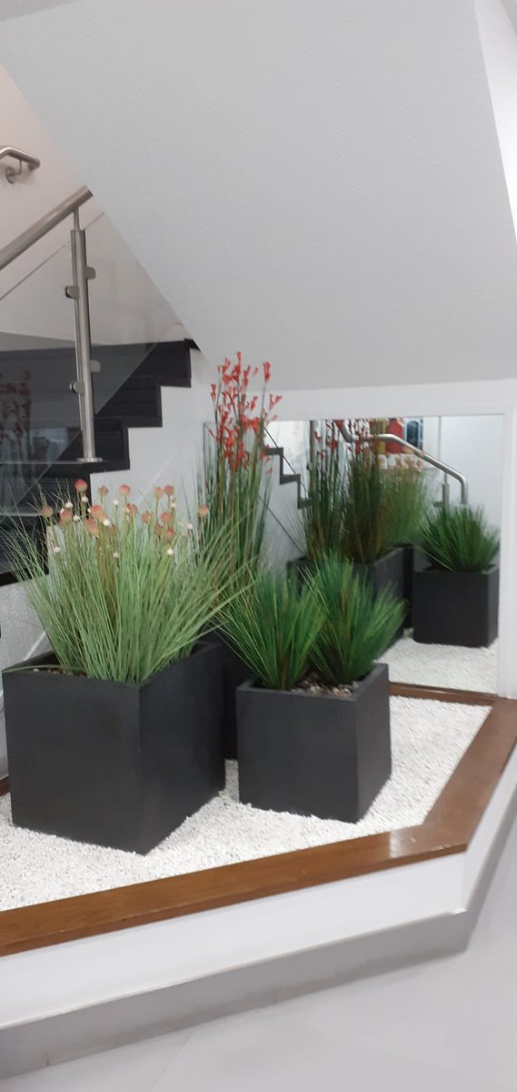 UrbanPlantersNW's tweet photo. Our installs team have been working hard in the ‘new normal’  at @Orbit_UK 👌🏻🌿🌱🌴🍃🌵🌾 #UPNW #urbanplanters #installation #newnormal #welcome #green #orbitdevelopments #health #biophilicdesign https://t.co/dLPDTqADkA
