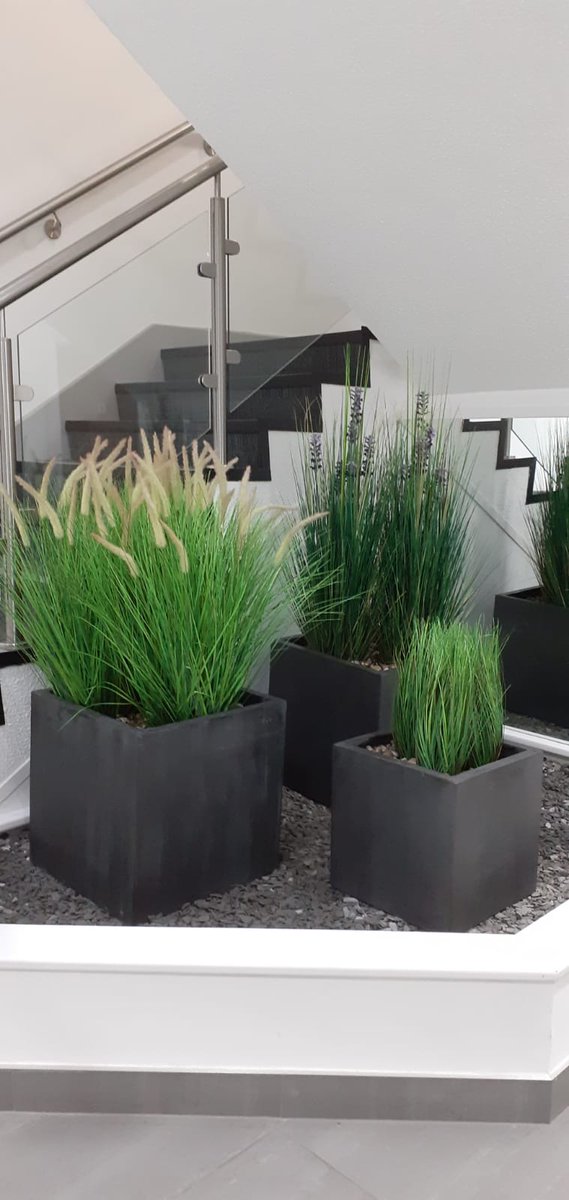 UrbanPlantersNW's tweet photo. Our installs team have been working hard in the ‘new normal’  at @Orbit_UK 👌🏻🌿🌱🌴🍃🌵🌾 #UPNW #urbanplanters #installation #newnormal #welcome #green #orbitdevelopments #health #biophilicdesign https://t.co/dLPDTqADkA