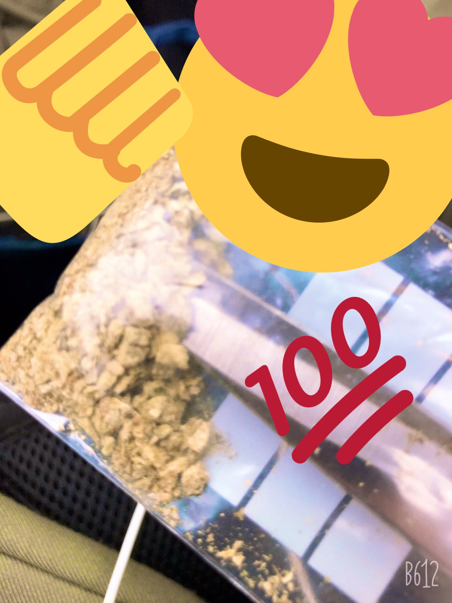 草にゃん 今日仕事終わりに炊いたらとてもいい味とキマリ これだからマリファナは最高 マリファナ 大麻 キマリ最高 日本の大麻法律排除 T Co Qqv8rfeyyb Twitter