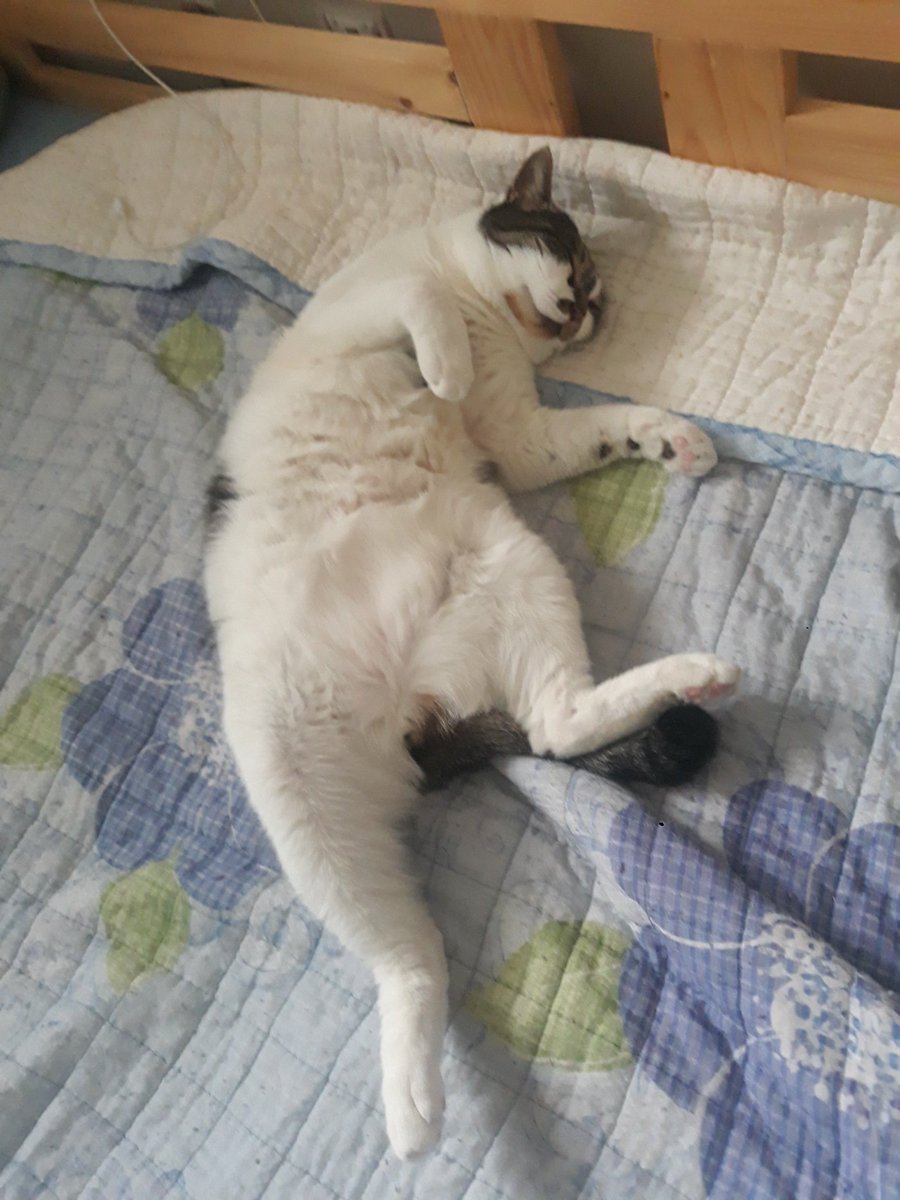 춤추는 것도 아니고 왜 그렇게 자ㅋㅋㅋㅋㅋㅋ