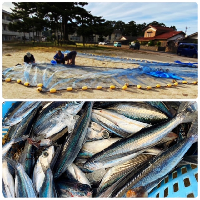 okiwebshop's tweet photo. 隠岐の島の西村、中村に訪れてきました。
隠岐特産のあらめ煮のレシピもぜひご覧下さい。
https://t.co/Xj9mITnS3g

岩がき「清海」のご注文受付が6月17日で終了です。
数に限りがあるため、先着順となります。お早めにご注文下さい。
https://t.co/w8aIPM6O8q

#隠岐　#あらめ　#岩がき  #岩牡蠣 https://t.co/wP8TEJz9Dh