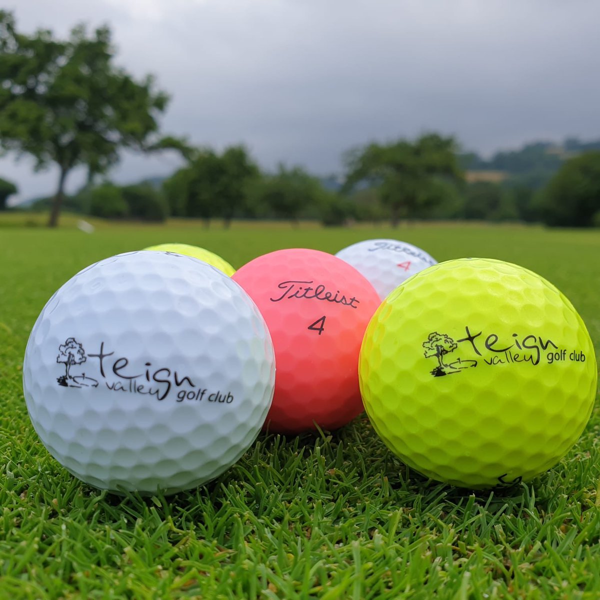 jamesmaxwellgo1's tweet photo. We cannot wait to welcome socially distanced golf societies to @TeignValley1 today. Have a wonderful day all #golf #summer #local https://t.co/IXrQKNRIgc