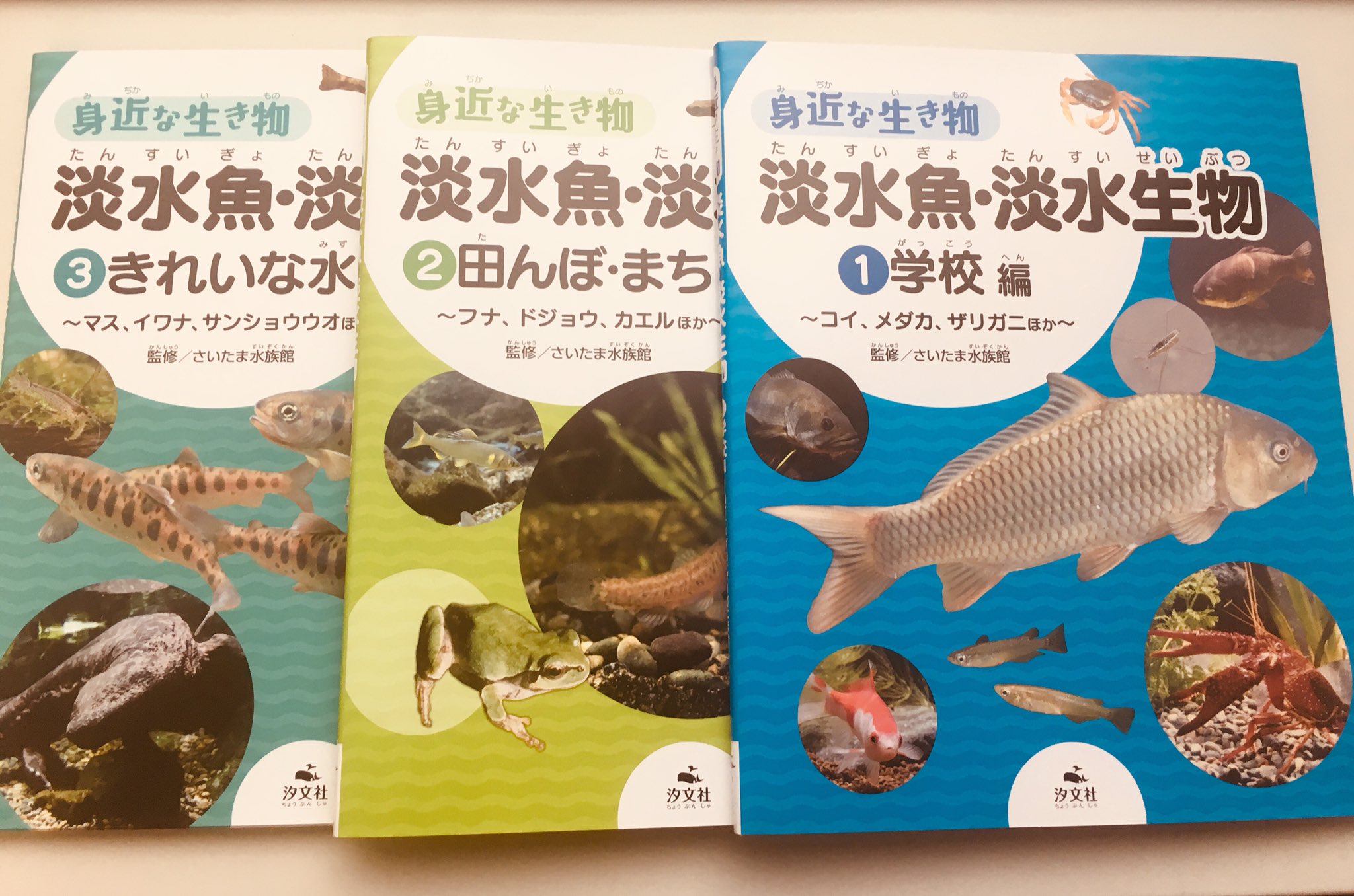 汐文社 على X: 