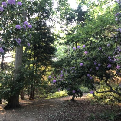 Lockdown walks! #Yorkshire #blessed