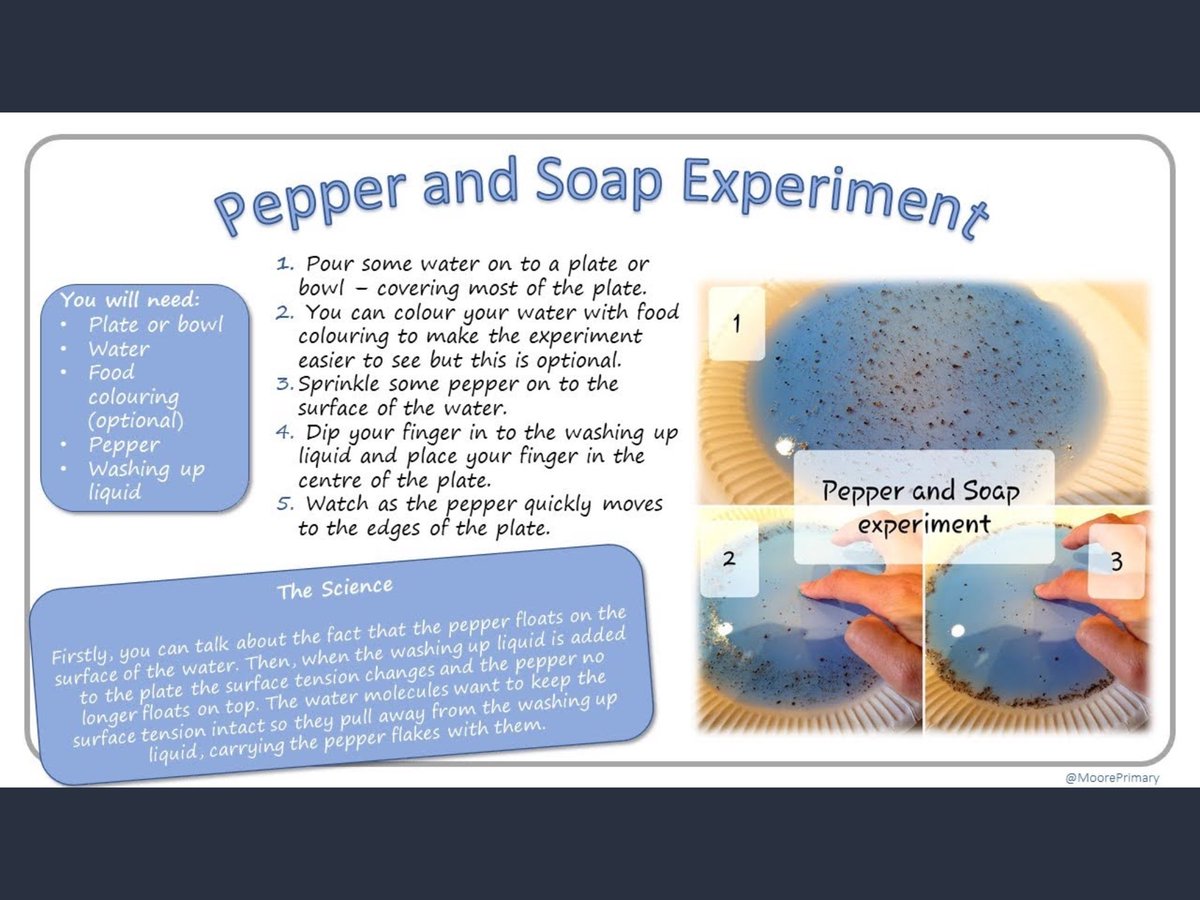 HolyFamilyScie1's tweet photo. Some more science challenges #floatingplate #germs #levitating #leafboat https://t.co/CwabjRCj9t