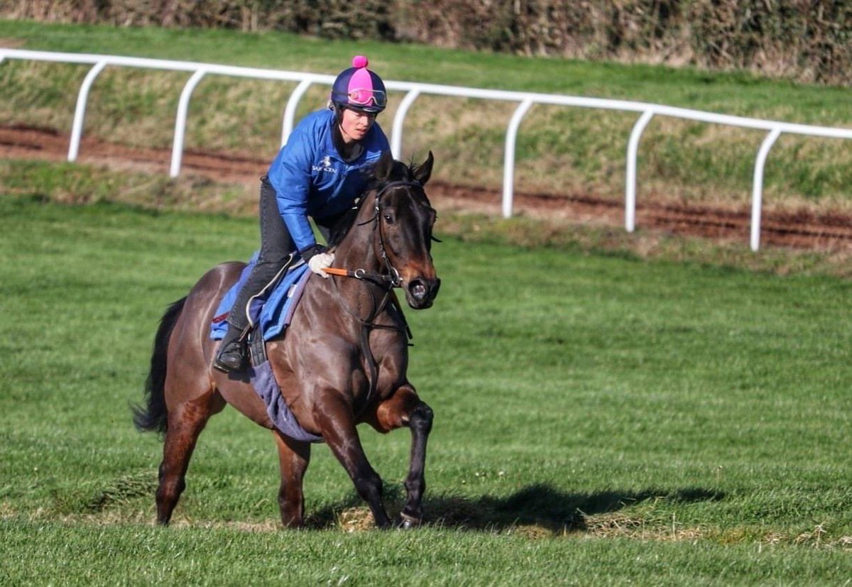 Heart of the South Racing tweet media