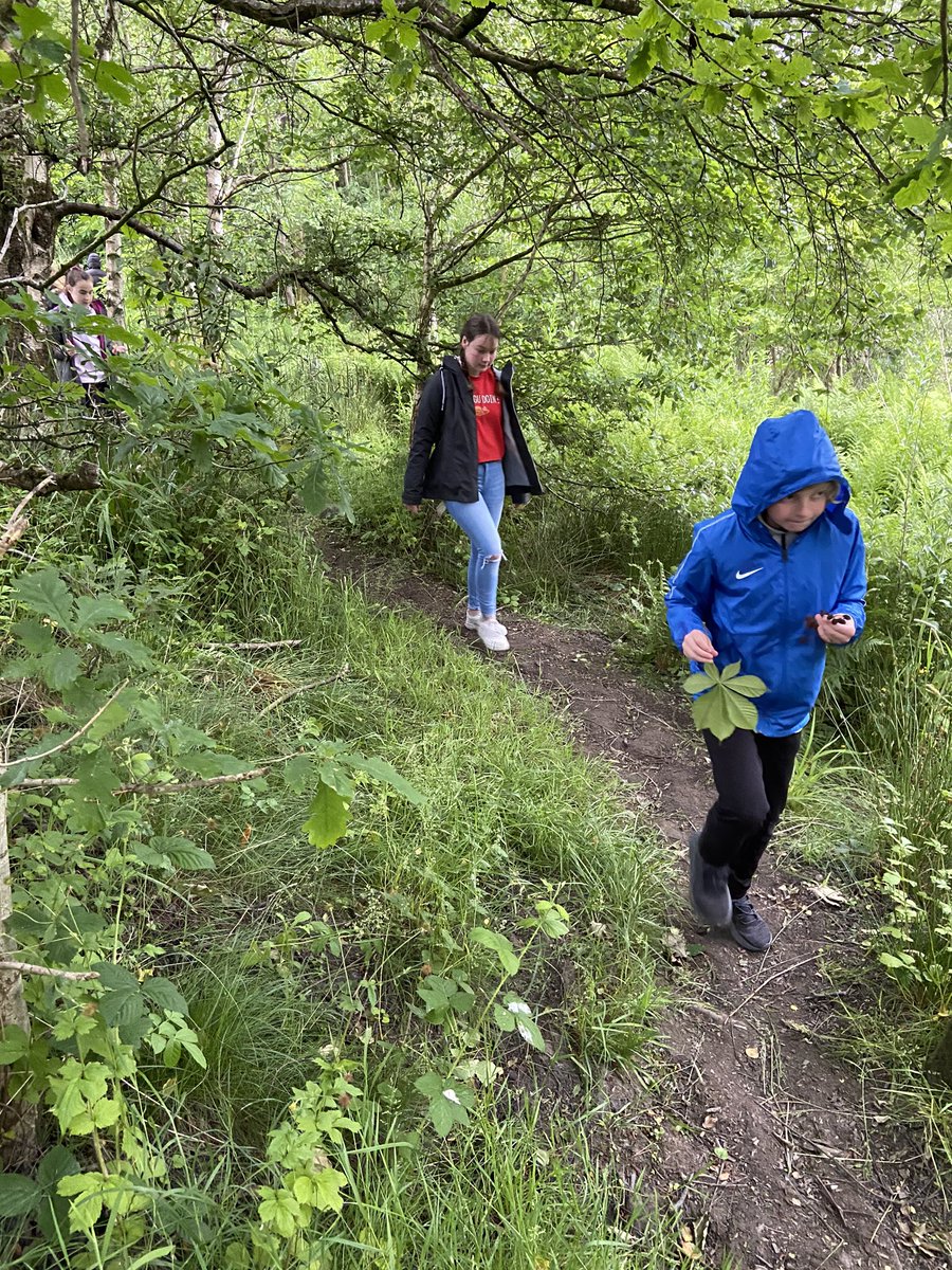 eagley5d's tweet photo. And the rain doth fall again! No hiding inside for us though... we are the forest kids today! #bushlady #Barrowthegymnast #rainyfun #anyoneneedwater https://t.co/ayBh9aiufi