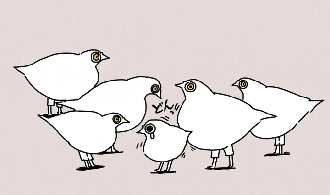 社会の厳しさを知るピヨ #ピヨとチヨ