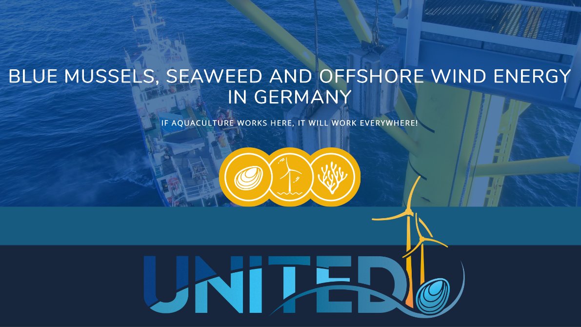 H2020United's tweet photo. UNITED researchers at FINO3 pilot aim to develop #BlueMussel and #SeaWeed culture in a wind farm 80 km away from the German coast, in the extreme climatic conditions of the #NorthSea. Why? Because if it works there, it will work everywhere! Full story: https://t.co/aKf8tNjH71 https://t.co/vVfFHnbBFf