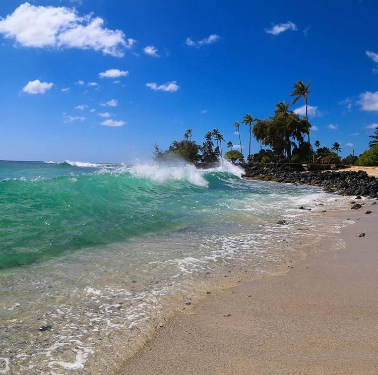 bvenus's tweet photo. Kauai, Hawaii ... One of my favorite places in the world. I love everything about it, and it's only 4 hrs and 54 min away! #HawaiiProtest https://t.co/5XPKKgYT4a