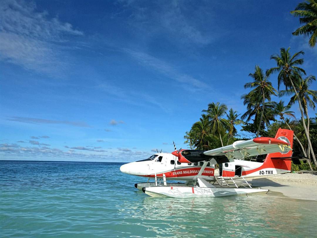 speedesigner's tweet photo. Seaplane beached! π©π
β¬
Swipe to see wireframe and the beautiful reference photo by @YaaniuH
.
#vector #Maldives #seaplane #ocean #illustrator #transmaldivian #transmaldivianairways #tma #pixelcart #barefootpilots #avi_things #resorts #pilot #aviation #aviators #avgeek https://t.co/HLfVH0oFTJ
