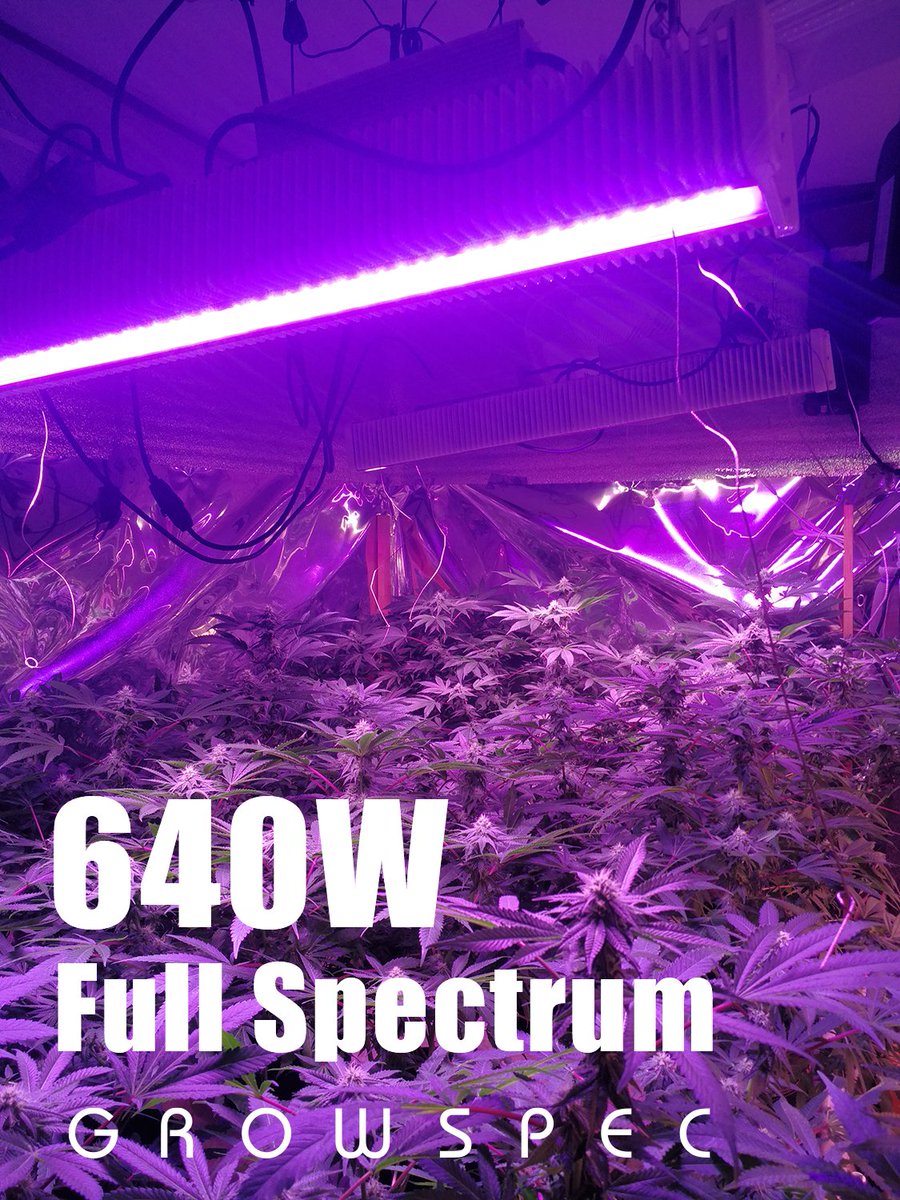 GrowSpec_Inc's tweet photo. #LEDGROWLIGHT https://t.co/XzBDTqb2Lw
