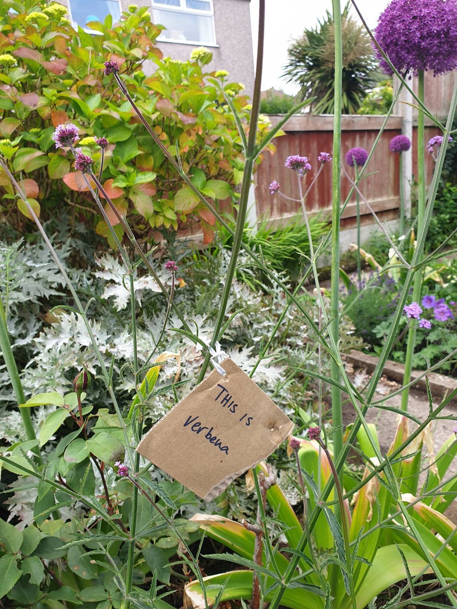 sam_ryley's tweet photo. Garden centre now open. #mywildpatch https://t.co/gOXJ16EEha