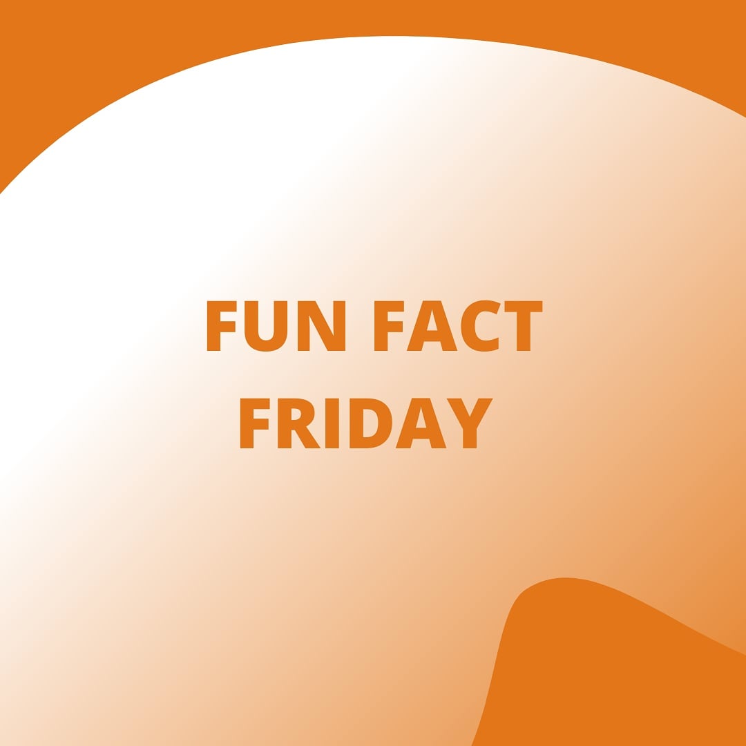 EngageDigital_'s tweet photo. #FunFactFriday !

If you type "Do a barrel roll" into #Google, the whole page spins. https://t.co/1PaOeungCV