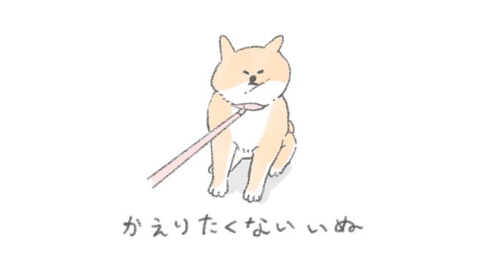 「黒目 柴犬」のTwitter画像/イラスト(人気順)