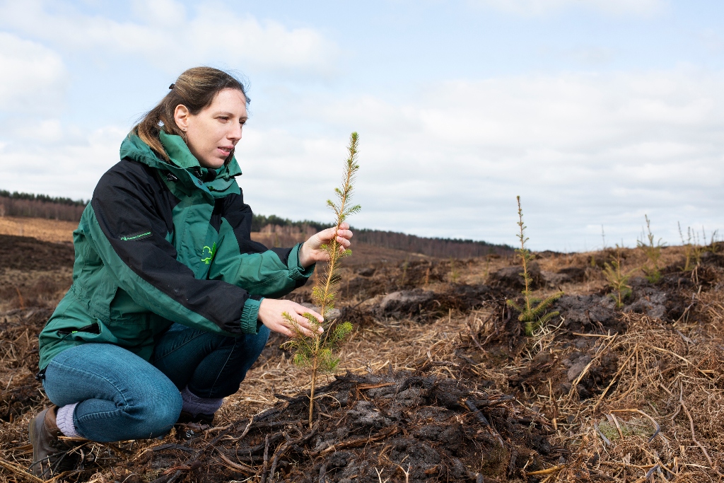 ForestryComm's tweet photo. We are recruiting for 12 new roles to help deliver our tree planting programme in England. These roles will support the forestry sector, landowners and communities in delivering our commitments to #woodlandcreation. Details can be found at https://t.co/xSkiET5Ew1 https://t.co/yWN8Np2mqj