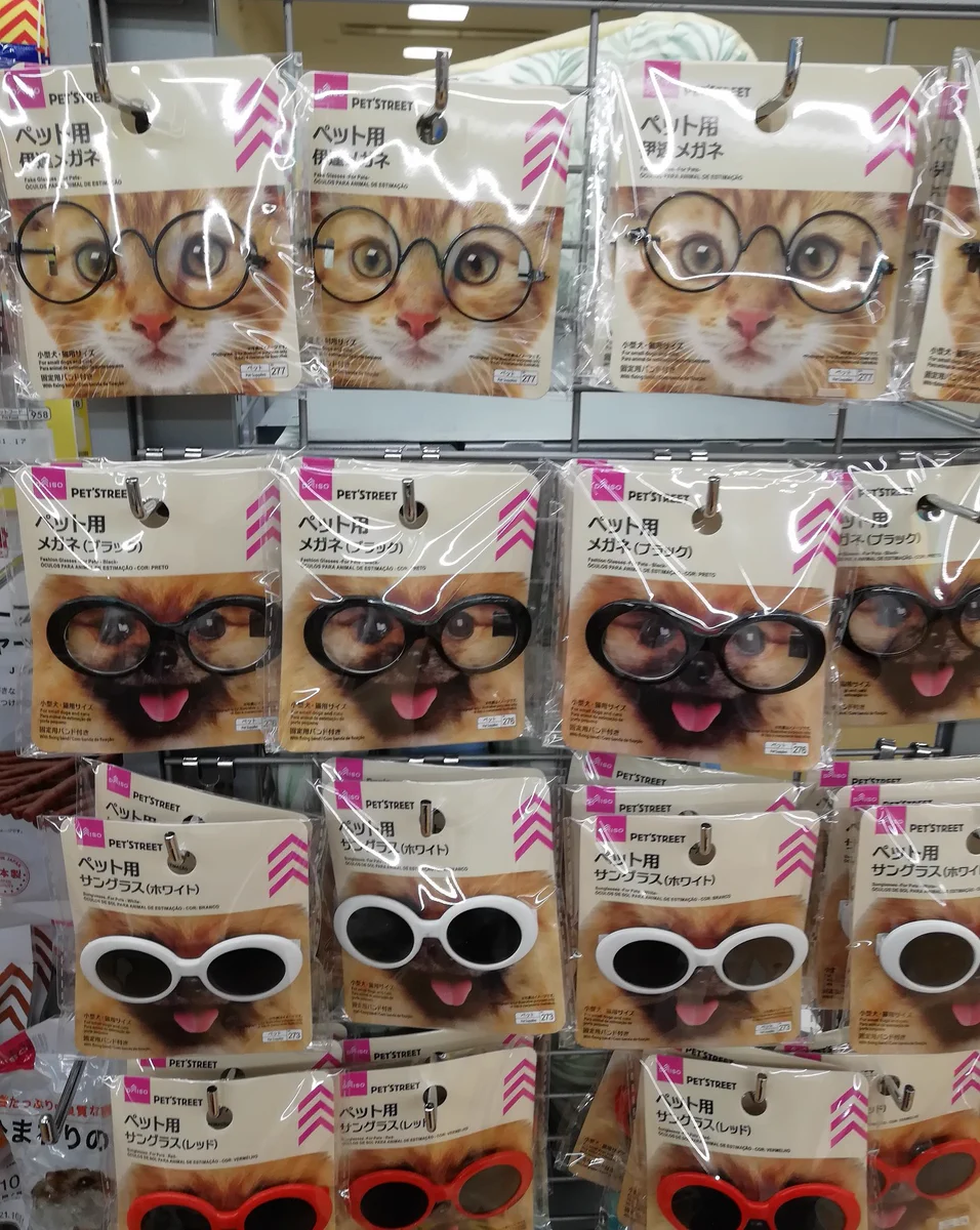 DAISOすごい！種類豊富にペット用伊達メガネが売っているwww