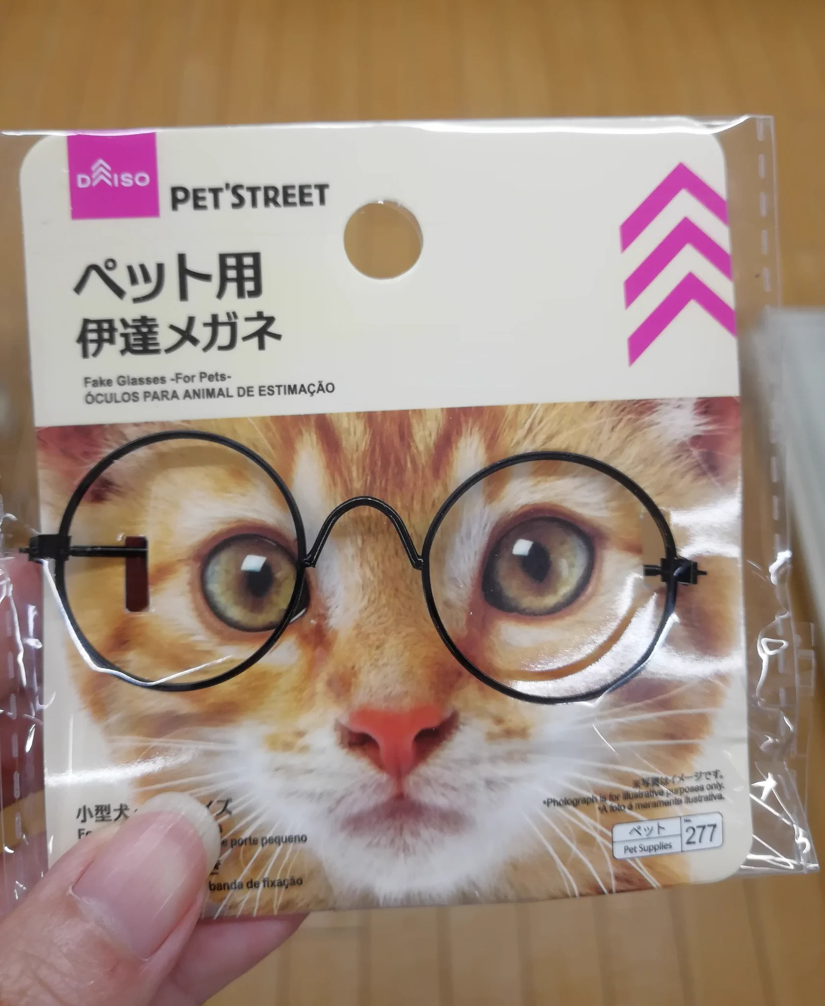 DAISOすごい！種類豊富にペット用伊達メガネが売っているwww