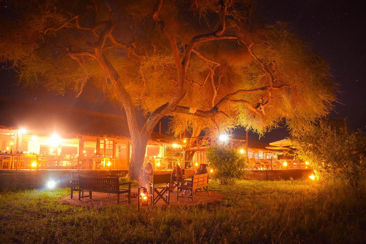 SimbaLodge's tweet image. We're keeping the home fires burning until you're ready to come stay with us again. This is the cozy campfire at Tarangire Simba Lodges