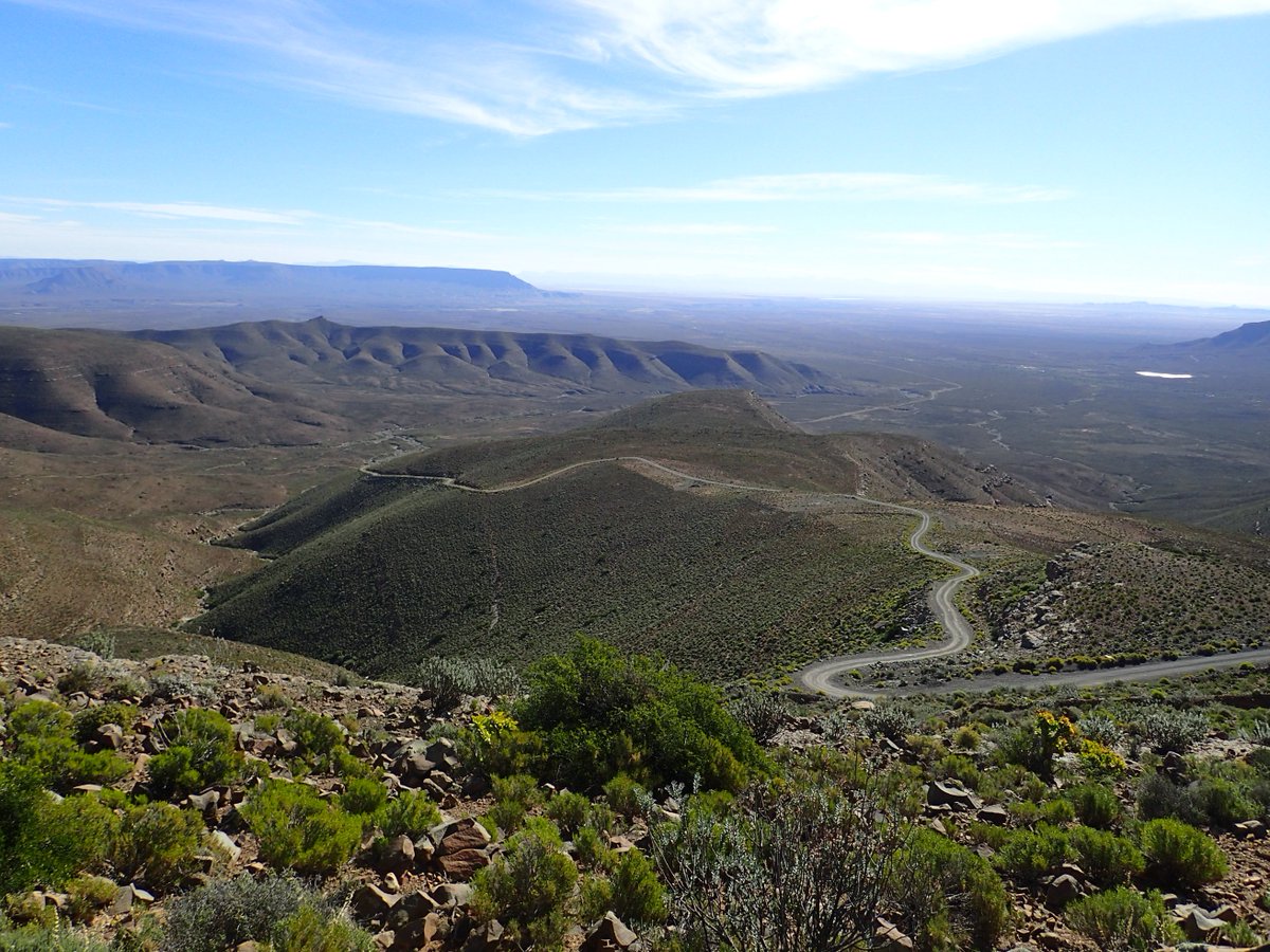 15/n: Chosen to compare flora from different environments and time periods.Ouberg Pass, middle Permian, meandering river systems. KwaYaya close to the shoreline and late Permain.I won't go into too much detail.Pic: One of my sites, Ouberg Pass.