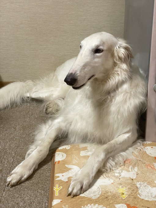 暑 高画質 のtwitterイラスト検索結果 古い順