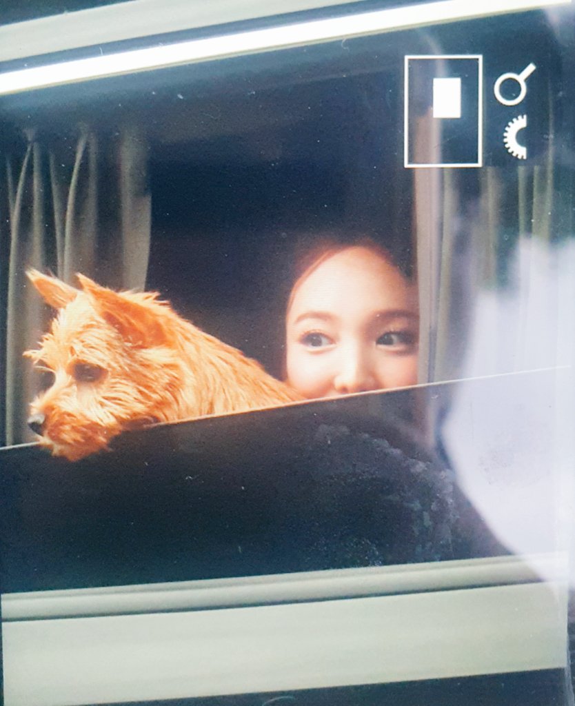 guiter500's tweet photo. 나연이랑 부랑~
#트와이스 #TWICE #나연 https://t.co/UcWEGNDwte