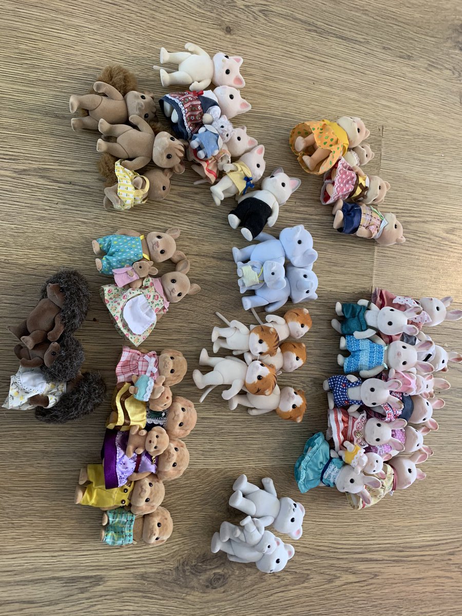 warne1103's tweet photo. @class_starfish @SylvanianUK sorting her #SylvanianFamilies #pandas #squirrells #silkcats #elephants #rabbits #maplecat #kangaroo #poodles #carameldog #homelearning https://t.co/pDsfcjhAIl