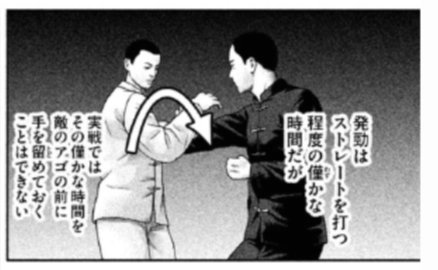 某研究者 T Co Y8fcz5if6v ムエタイの肘打ちの場合 発勁的動作の無い 手打ち的な肘でのkoも多いが 肘打ちの場合顎に入れば手打ちでも Koは出来ると言う事なのかだが Twitter