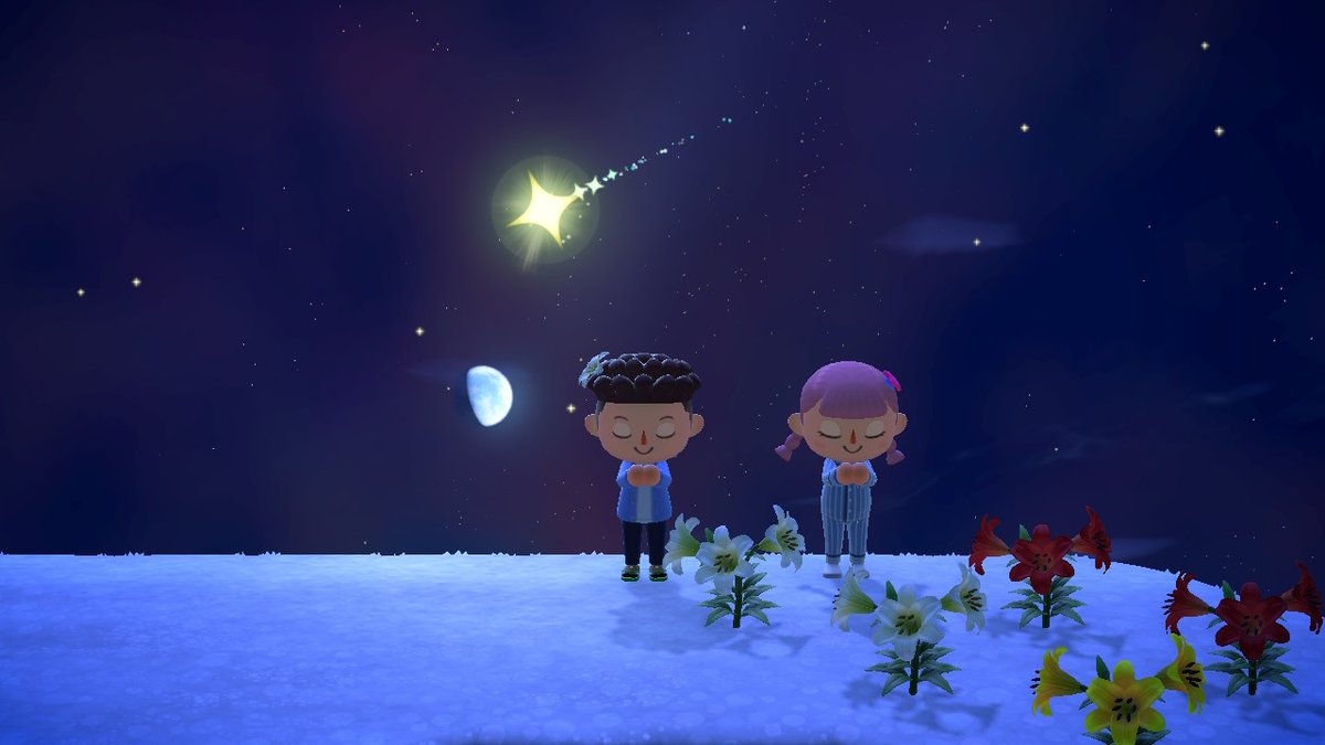 geeegeeeq's tweet photo. #AnimalCrossing #ACNH #NintendoSwitch https://t.co/tKNmGtJ497