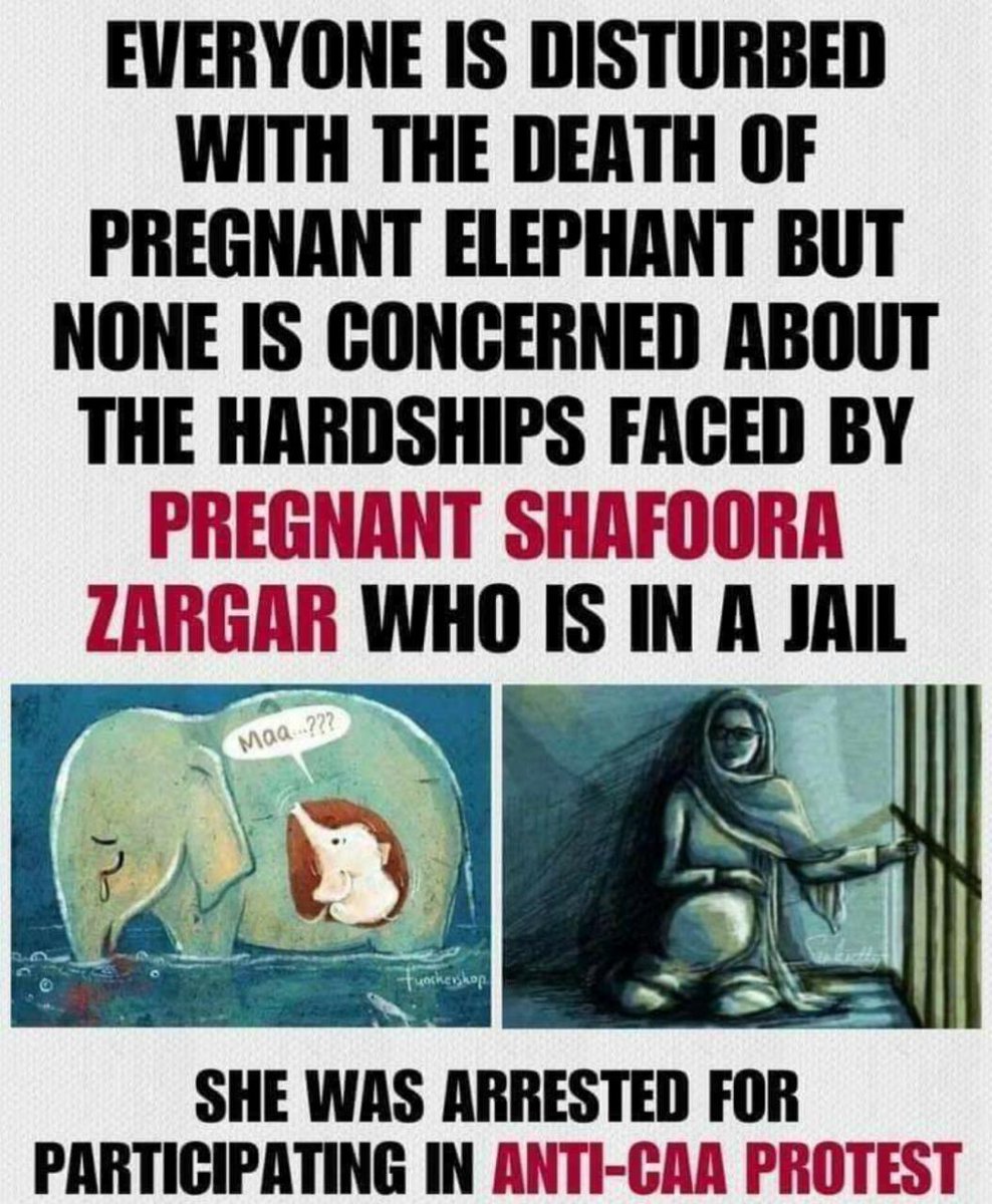 AshharRumaan's tweet photo. #ReleaseAntiCAAProtesters 
#ReleaseSafooraZargar 
#ArrestKapilMishra https://t.co/X3IR6gLydM