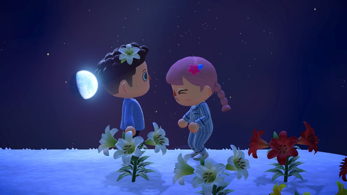 geeegeeeq's tweet photo. #AnimalCrossing #ACNH #NintendoSwitch https://t.co/BNQXcFezRt