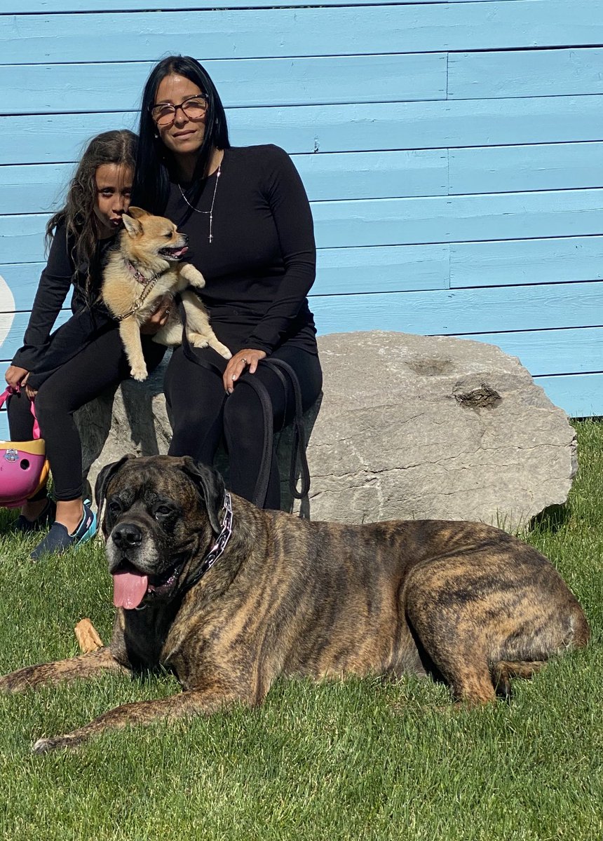 Happy ‘Show Your Pet Off Day’. We ❤️ our pets Bentley &amp; Sofie ⁦<a href="/stgabrielhcdsb/">St Gabriel</a>⁩ #TogetherApartHCDSB