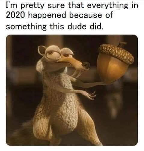 Dassie_D's tweet photo. #dassieblamesscrat #fastforwardplease https://t.co/I3g4bk31WQ