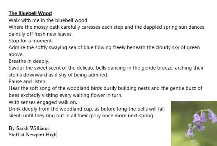 What a beautiful poem written by one of our staff members <a href="/NewportH/">Newport High School</a> I am sure our local care homes will enjoy reading this as much as I have #NHSfortheNHS #bluebells