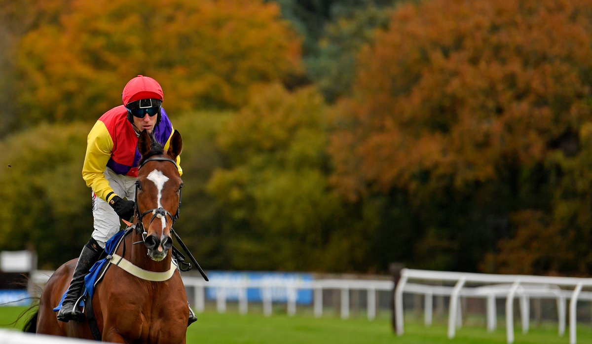 Exeter Racecourse Exeterraces Twitter
