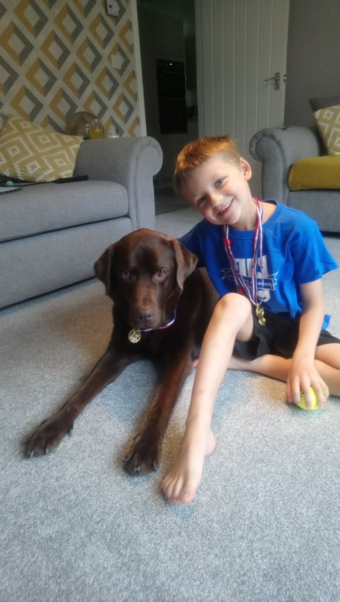 CatDews's tweet photo. Oliver ready Jerry Clay Academy virtual sports day #alfietheteammascot #goteamblue #virtualsportsday @JCAWakefield https://t.co/MpOk8GQ8NR