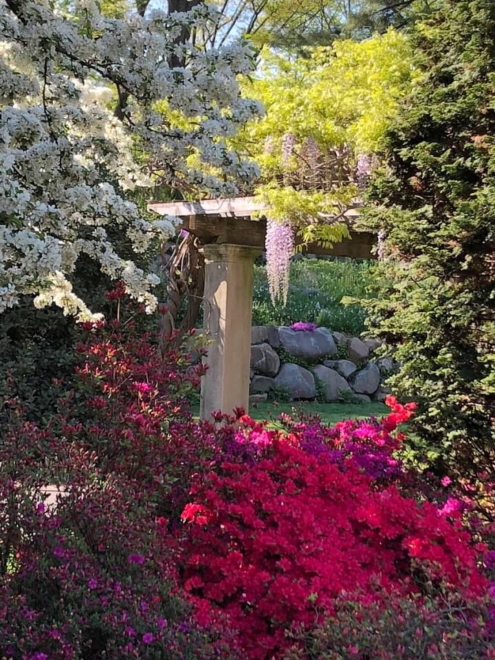 IvyGateflorals's tweet photo. My happy place #brooklynbotanic https://t.co/5Se56b9RPk