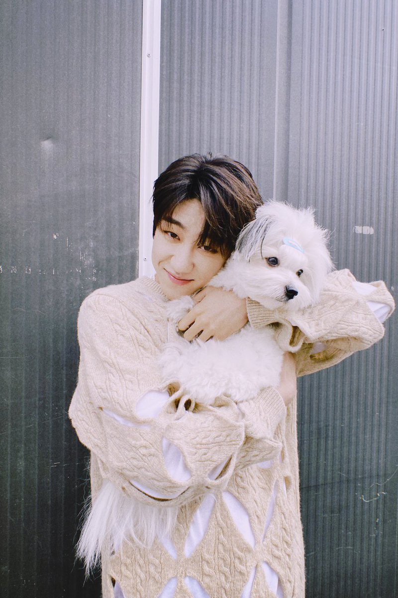 세븐틴(SEVENTEEN) tweet media