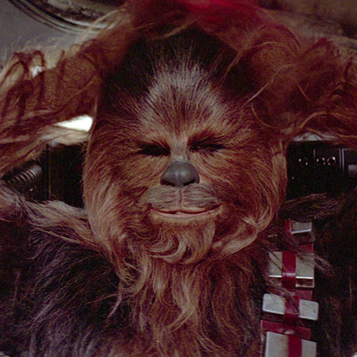 Chewbacca.