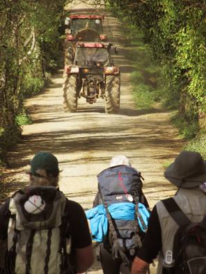 Nunca estamos lejos de una aldea (y un café con leche) en el Camino de Santiago en Galicia. 

#caminoANDenglish #Turgalicia #Galicia #EsteVeranoHagoElCamino #EspañaTeEspera  #Verano2020 #QuedamosenGalicia #galiciamola <a href="/ClusterGalicia/">Clúster de Turismo</a> <a href="/TurDepuLugo/">Turismo. Deputación de Lugo</a> <a href="/fifimadrid/">Fiona Govan</a>
<a href="/elpaisinenglish/">El País English Edition</a>