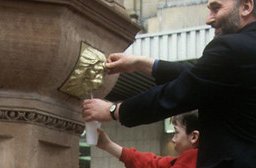 Steve Ellwood tweet media