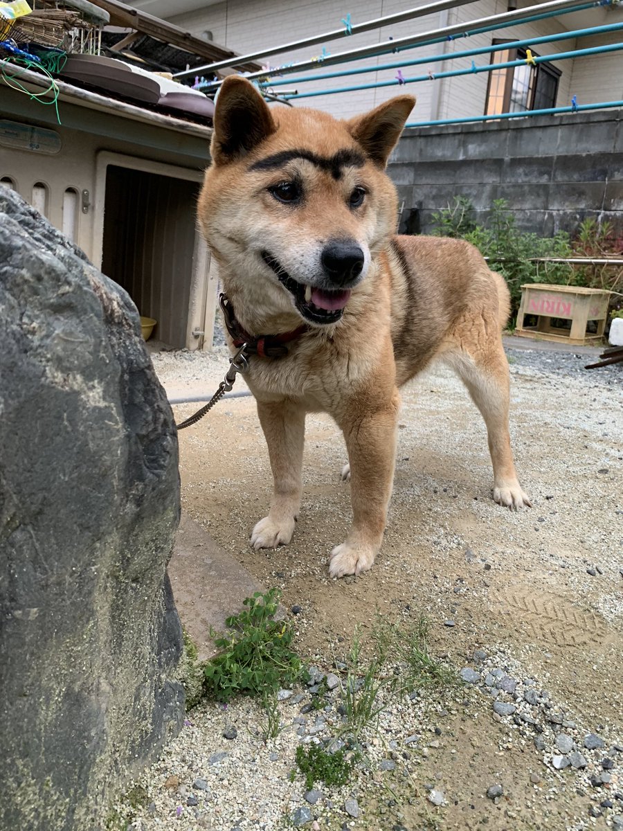 ysk_ytkr's tweet photo. こじろうイケメンになったな。 https://t.co/YDf2Gi21IG