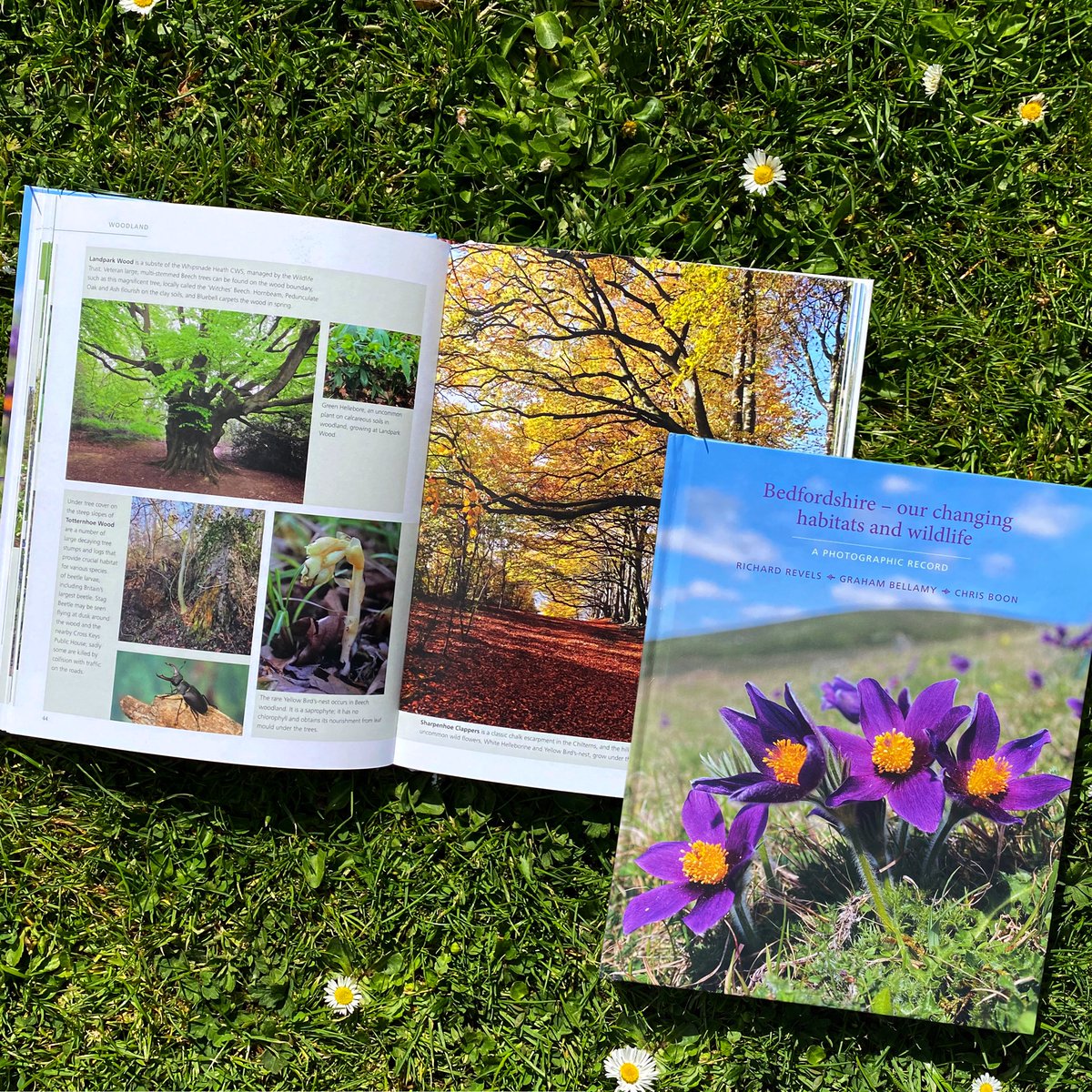 LTDdesigncon's tweet photo. LTD have been involved in the design and production of many #naturalhistorybooks. Due to restrictions imposed by #COVID-19 it was a challenge getting this book, for @BNHSwebsite, printed and delivered from lockdown Italy. 
https://t.co/6T4gbSukit https://t.co/uEA2Nxa0qX