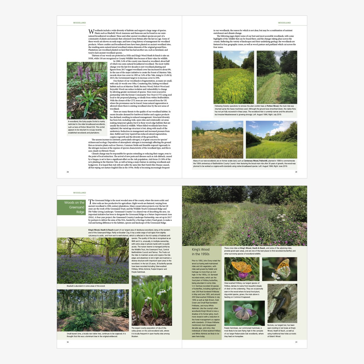 LTDdesigncon's tweet photo. LTD have been involved in the design and production of many #naturalhistorybooks. Due to restrictions imposed by #COVID-19 it was a challenge getting this book, for @BNHSwebsite, printed and delivered from lockdown Italy. 
https://t.co/6T4gbSukit https://t.co/uEA2Nxa0qX